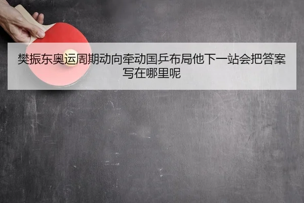 樊振东奥运周期动向牵动国乒布局他下一站会把答案写在哪里呢